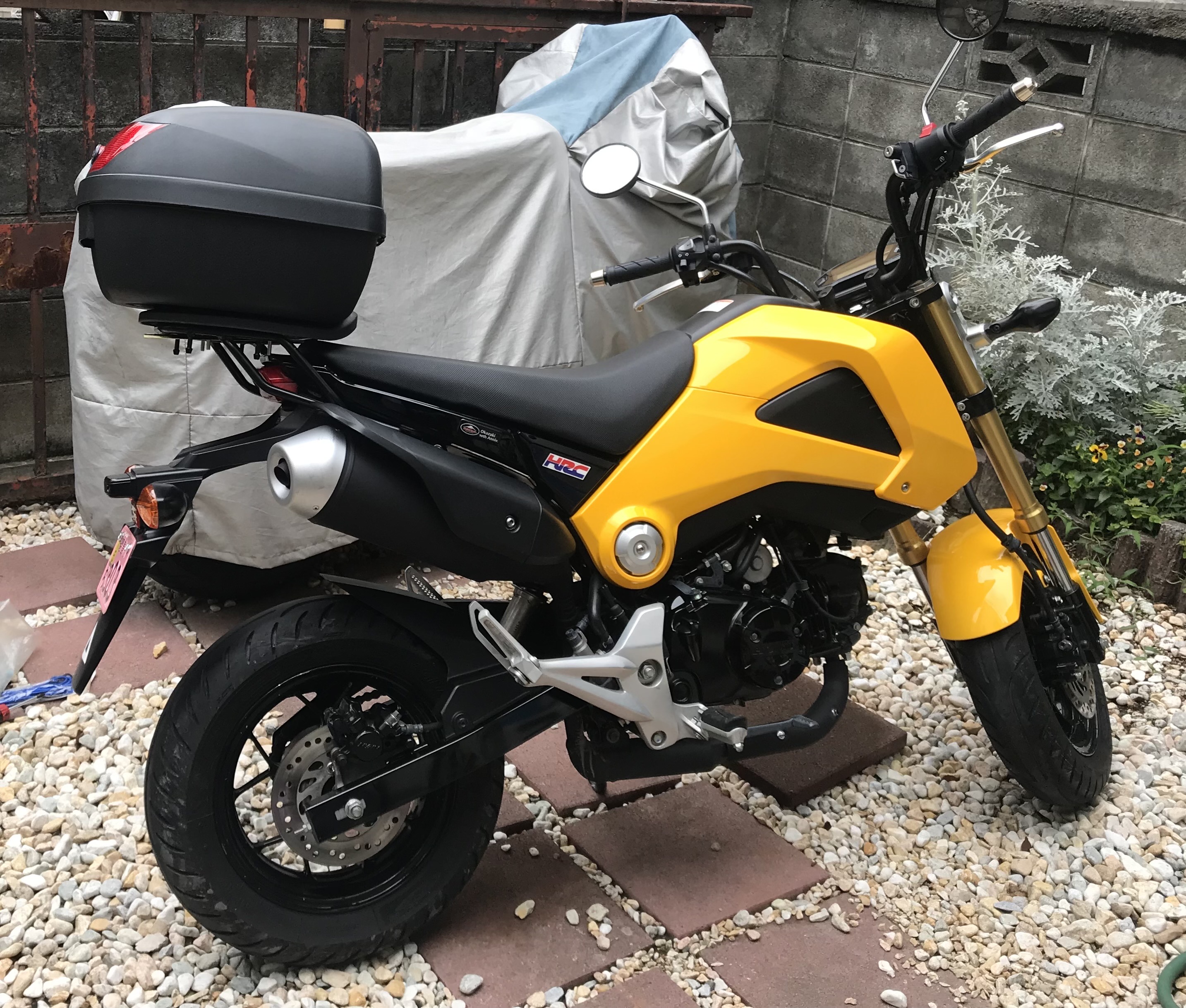 HONDA GROM