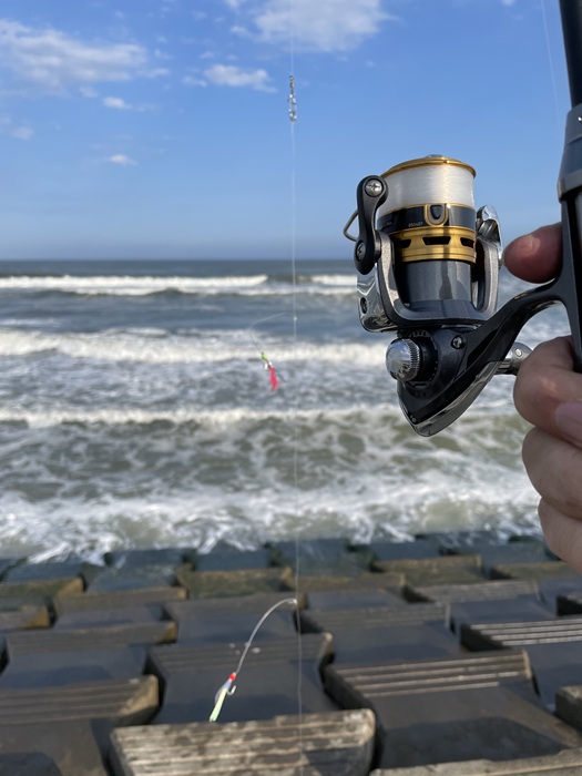 海岸で使う釣り竿とリール