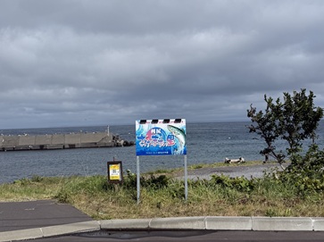 利尻島の海岸沿いの風景