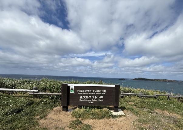スコトン岬周辺の草原と海