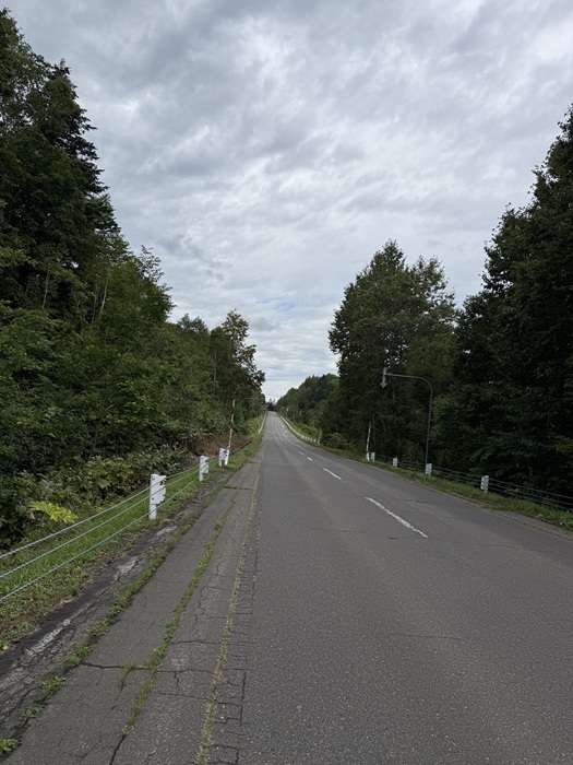 北海道内陸部の森を抜ける道