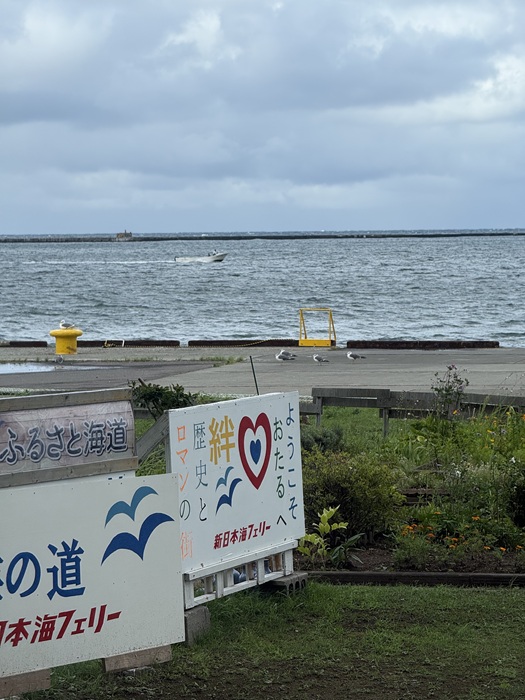 小樽フェリーターミナルから見た港